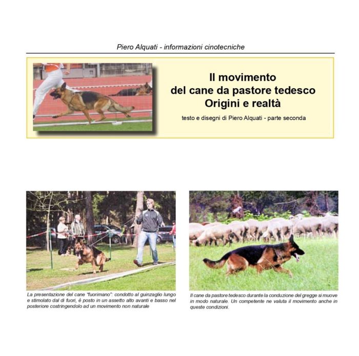 Il movimento_page-0001